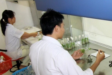 Nâng chất lượng đào tạo nhân lực 13WIN là nhà cái uy tín top đầu Châu Á nguyên tử